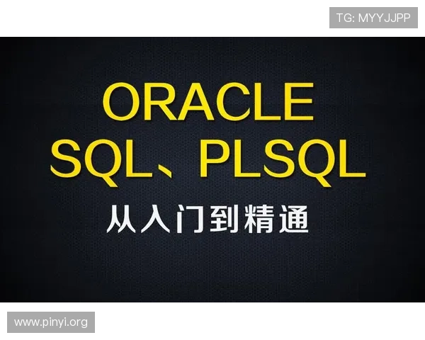 40轮盘术应用指南：从入门到精通的完整操作流程与实战经验分享